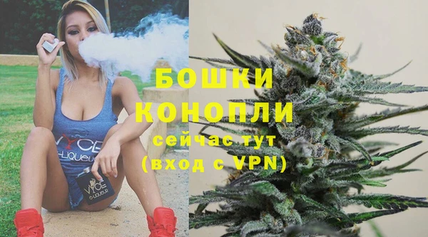 PSILOCYBIN Абдулино
