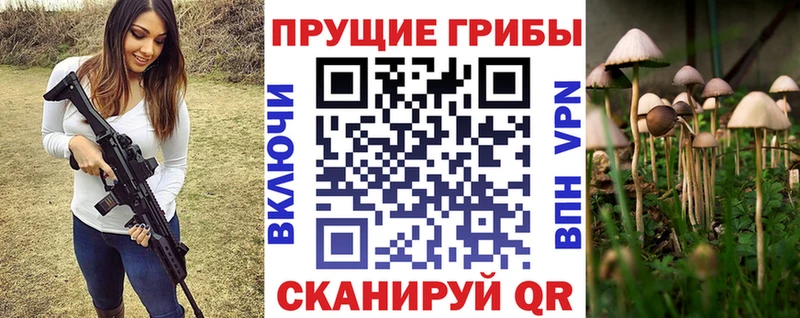 Галлюциногенные грибы прущие грибы  Новотитаровская 