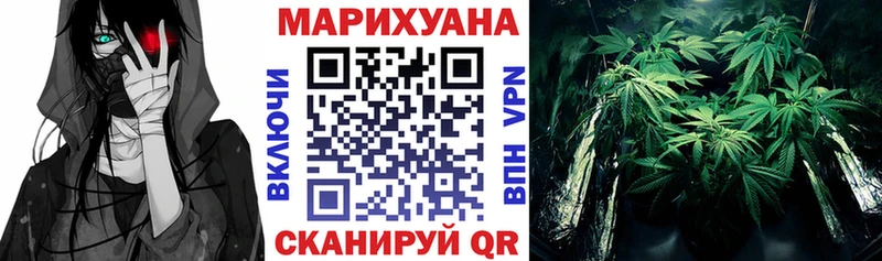 Бошки Шишки план  Новотитаровская 